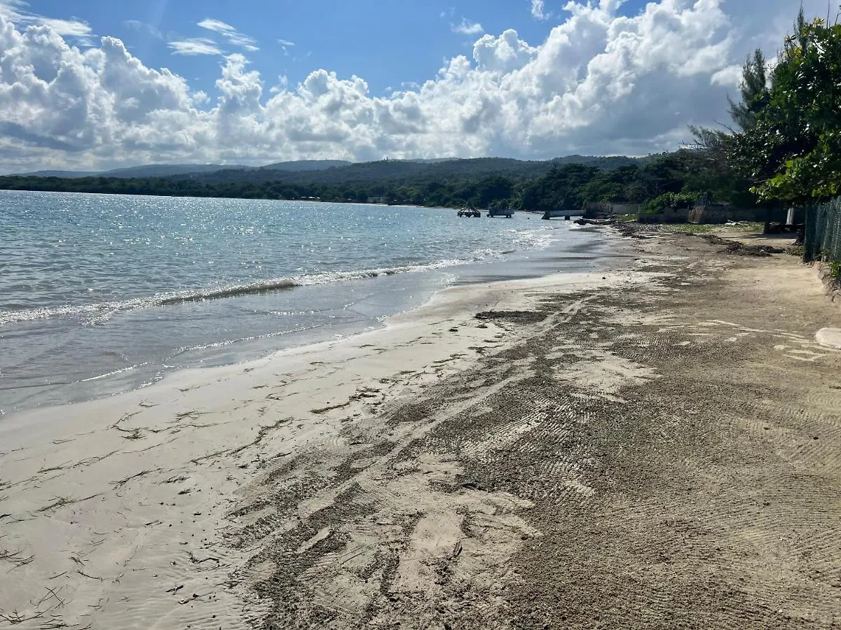Ocho Rios Ocean Escape Διαμέρισμα Richmond Τζαμάικα