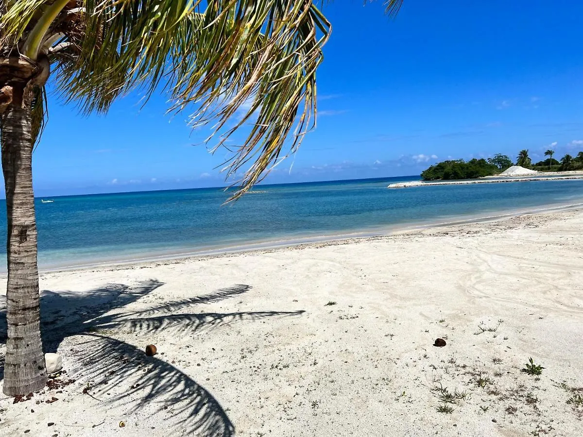 Ocho Rios Ocean Escape Διαμέρισμα Richmond